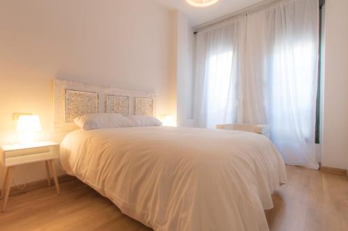 Apartamentos Recogidas 10, Гранада