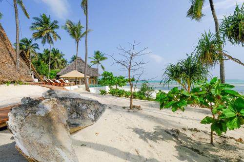 plajă, Baladin Zanzibar Beach Hotel in Michamvi
