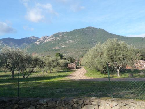 Carestella