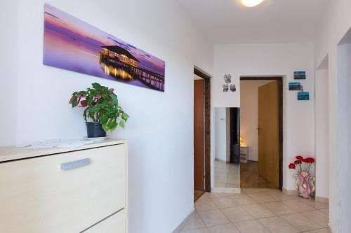 Apartments Karen 5