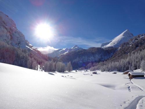 Hotel Albe - Rocca Pietore