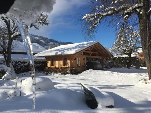 Chalet l'Aiglon - image 17