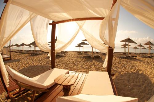 Summer Dream 2