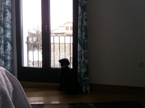 El Huertecito - image 11