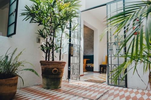La Fe Hotel and Arts