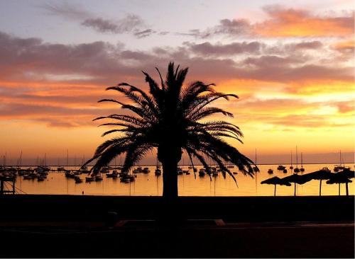 Hotel Mar Menor