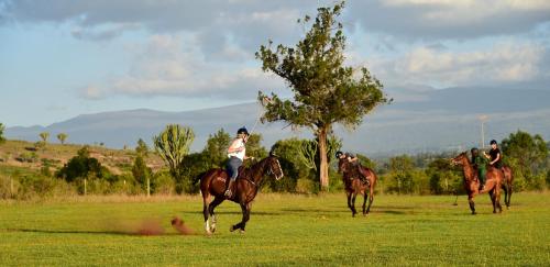 Olepangi Farm