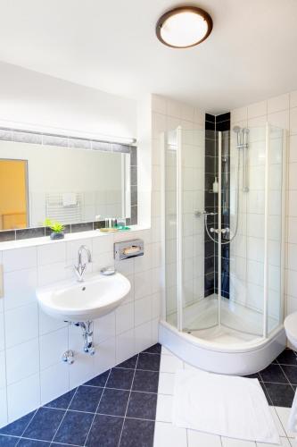 克莱纳康尼格坑酒店