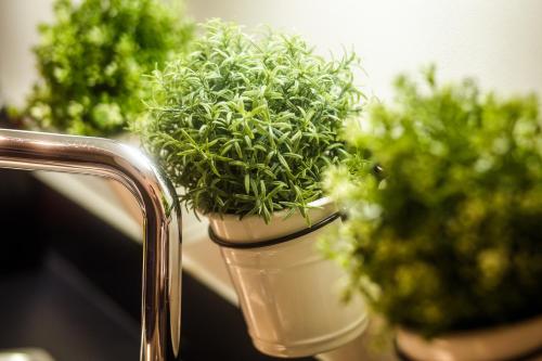 The President - image 13