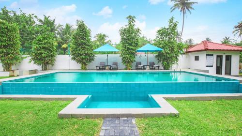 Garden, Kaminrich Cottage in Matara