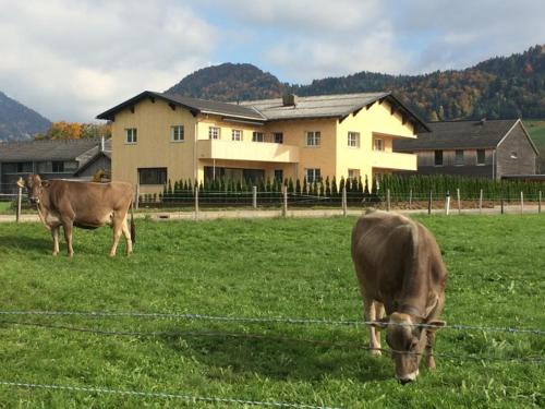Ferienwohnung Thannen in Lingenau, Österreich