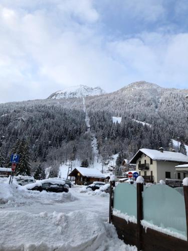 Albergo Alpenrose Ski&Bike Mountain Hotel