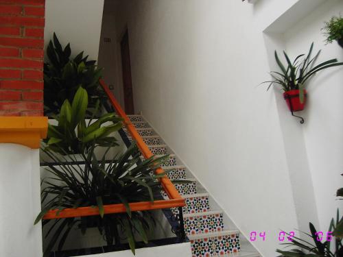 Apartamentos Los Arcos Apartamentos Los Arcos