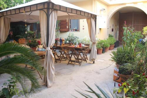 Fiori e Limoni, Quartucciu (foto 8)