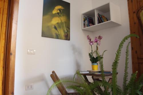 Fiori e Limoni, Quartucciu (foto 5)