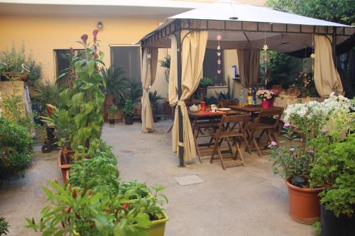 Fiori e Limoni, Quartucciu (foto 2)