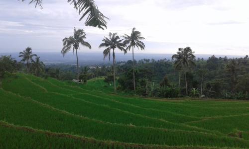 Pondok Rinjani Perkasa