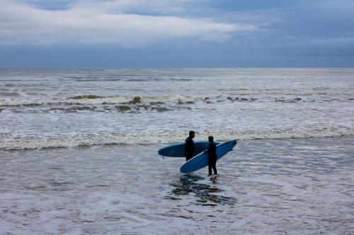 Dolphin Watch Wild Atlantic Way