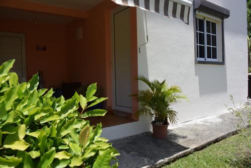 Chez Momo et Dany in Bas Vent