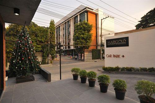 Photo - Marigold Ramkhamhaeng