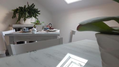 Allegro Luxury B&B