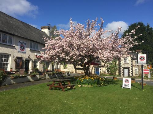 Wye Knot Stop chambre d'hôte Court House Farm Moat