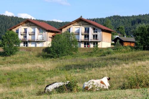

Apartment Impasse du Gazon - 4