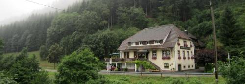 BE ME Black Forest Family Apartment -Zum Letzten G'Stehr - Bad Rippoldsau