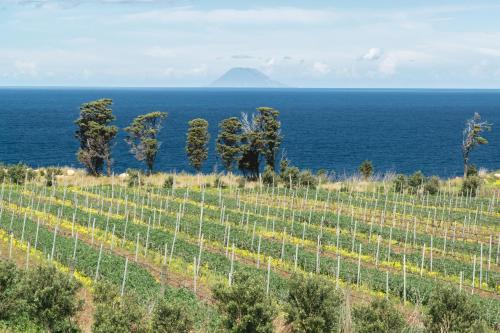 Tenuta Rasocolmo