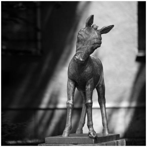Hotel Laterum - image 2