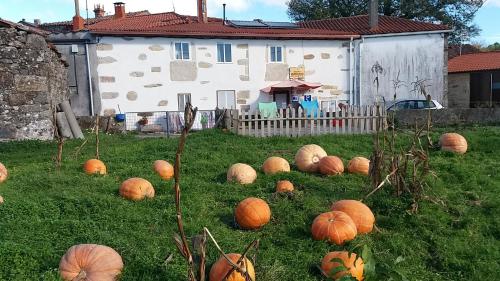  Albergue a Casina di Marcello, Pension in Palas de Rei  bei Lodoso