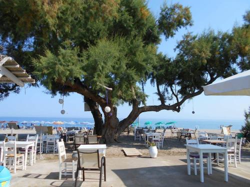 Gold Apartments - image 6
