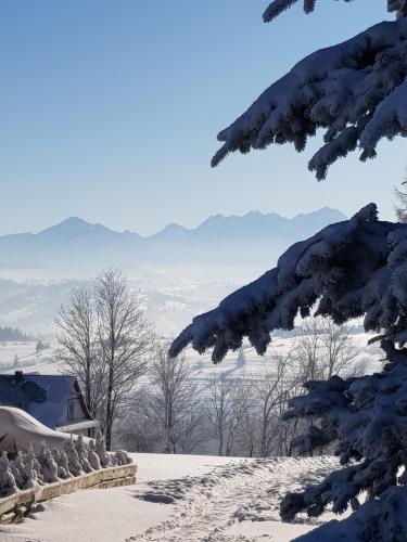 U Szostaka in 班斯卡维兹纳