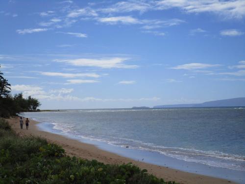 Kauhale Makai Condo on the Beach - image 6