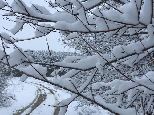 Artesano II - main image