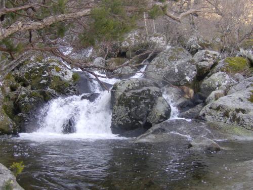 Hotel Los Perales - image 6