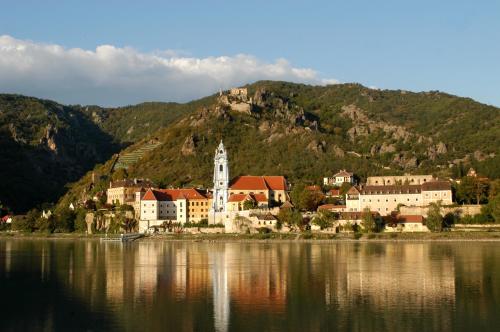 Weingut-Pension Stockingerhof - image 12