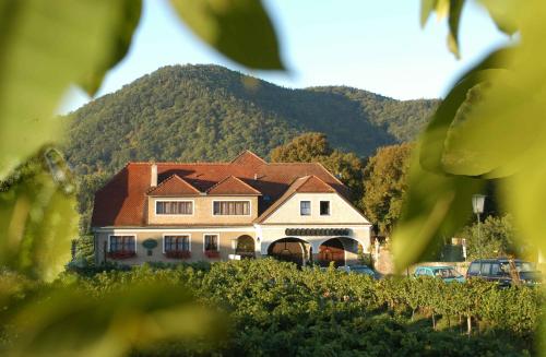 Weingut-Pension Stockingerhof - image 4