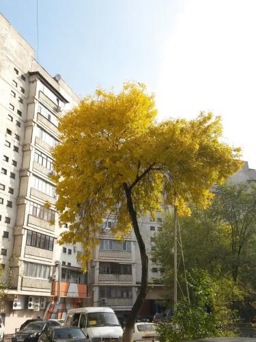 Квартира 'Arbat'- Apartment 'Arbat'