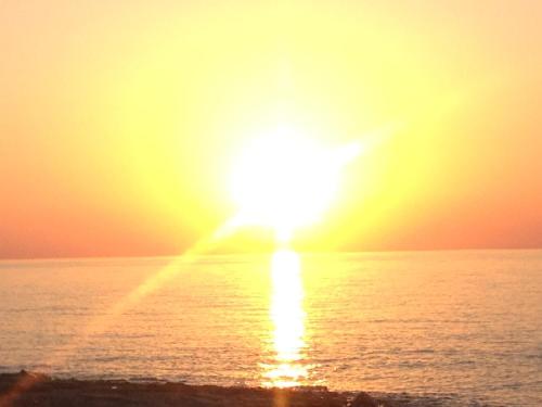 Greek Islands Studios - image 14