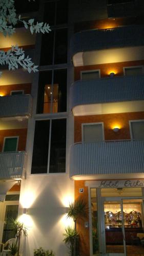 Hotel Erika - image 10