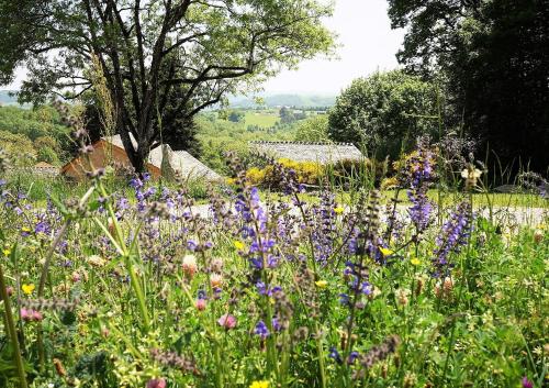 Domaine des Maréquiers chambre Mélilot - Accommodation - Saint-Germain-du-Teil