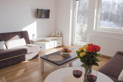 Apartamenty Kamienna z widokiem na góry i 2 km do Wyciągu Skolnity - Dream Apart Apartamenty Kamienna z widokiem na góry i 2 km do Wyciągu Skolnity - Dream Apart