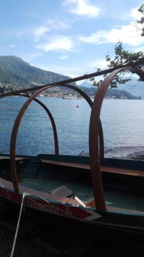 La Canarina Bed & Breakfast - image 2