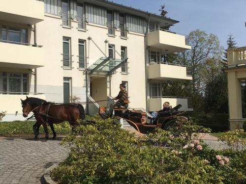 Residenz Bleichröder - Ferienwohnung 13