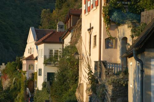 Weingut-Pension Stockingerhof - image 3