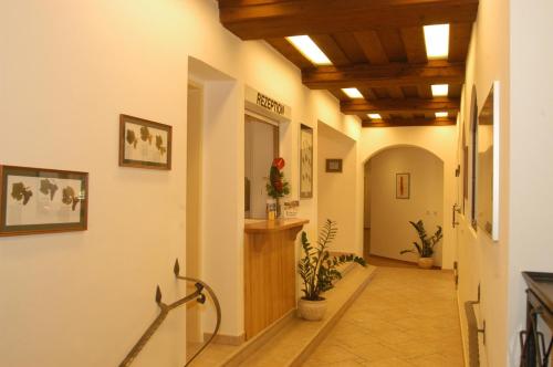 Weingut-Pension Stockingerhof - image 10