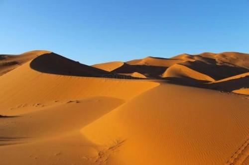 Mari Desert Camp