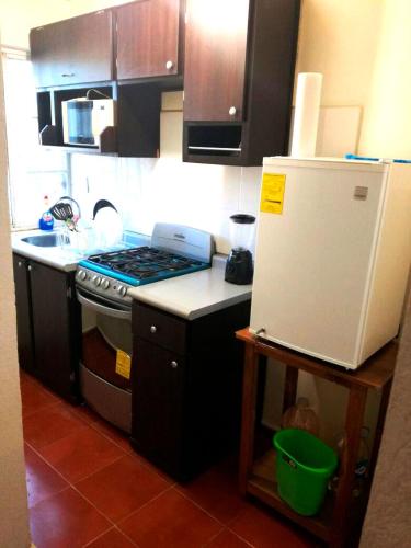 

Departamento Amueblado en Guanajuato