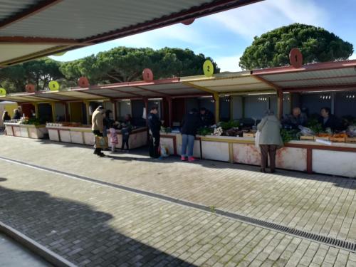 Casa da Lagoa